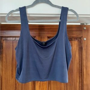 Express Navy Blue Sleeveless Crop Top